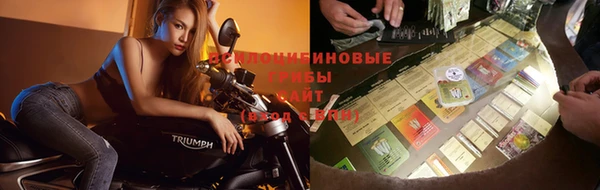 мет Алексин