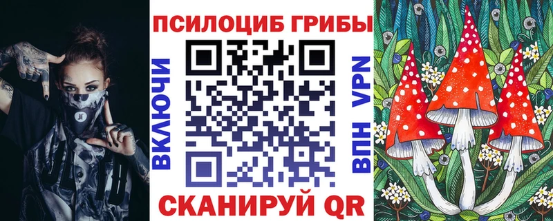 Псилоцибиновые грибы ЛСД  где продают наркотики  кракен вход  Ковылкино 